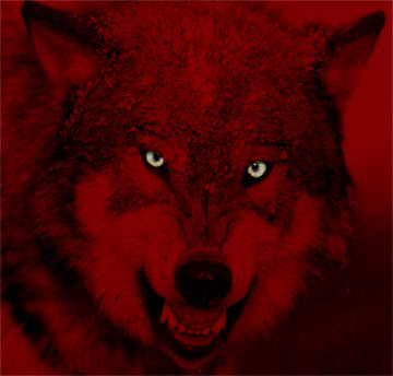 Just below Dark Soul Judge Wolves, these wolf 