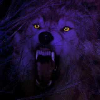 wolf_1.jpg